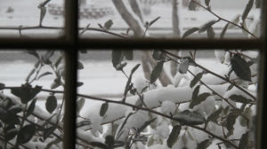 Snow outside window
